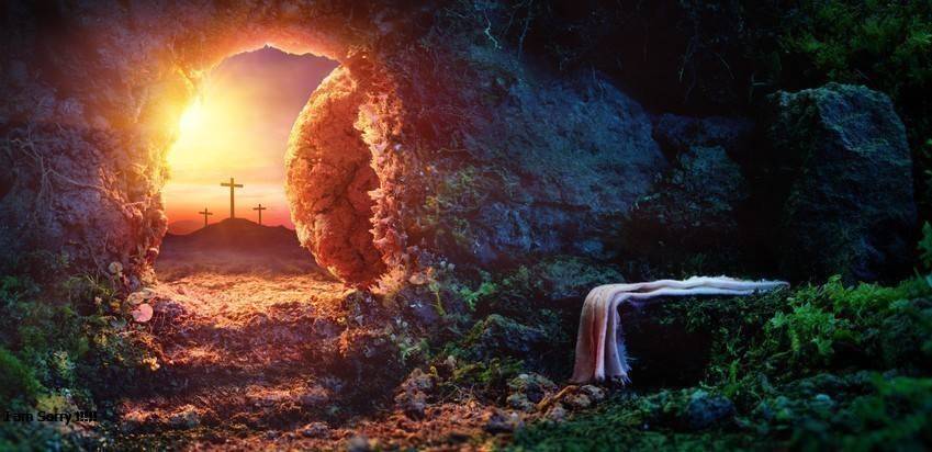 Adaora Okonkwo Avatar